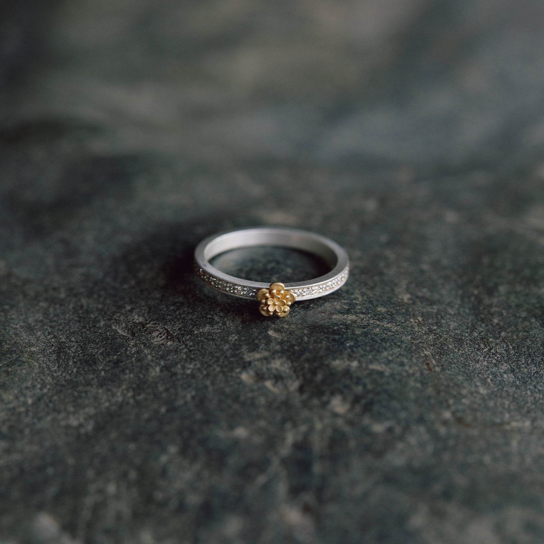 rings – sharanpoi